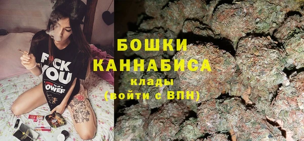 дмт Аша