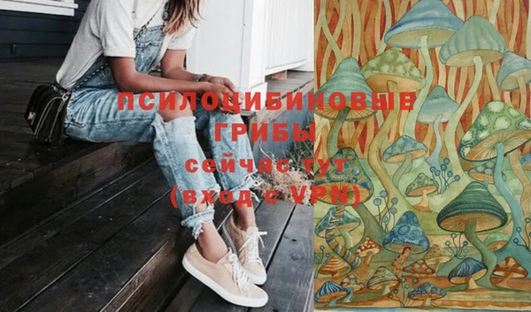 мет Корсаков